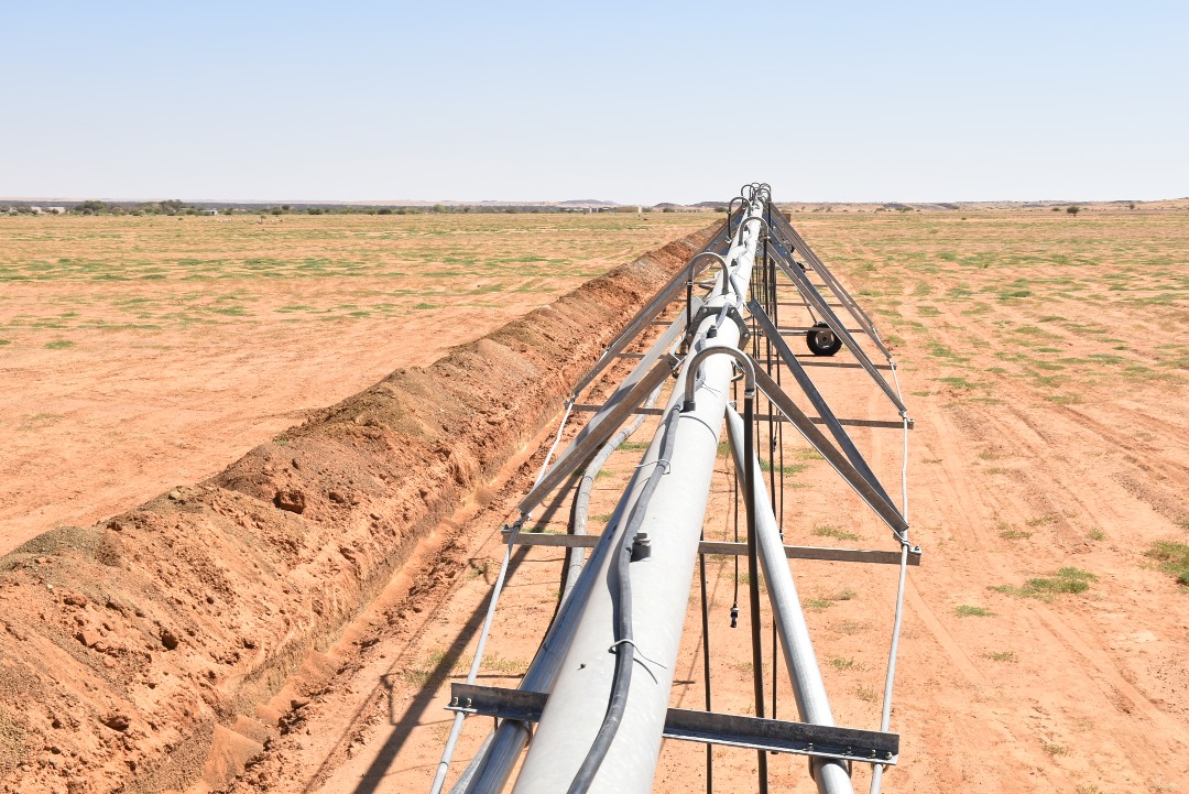 Réseau d'irrigation - Canaux et distribution d'eau