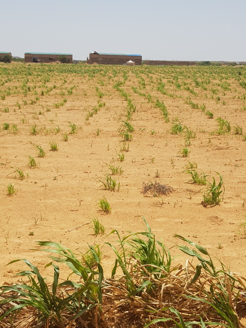 Exploitation agricole - SIAE ogion